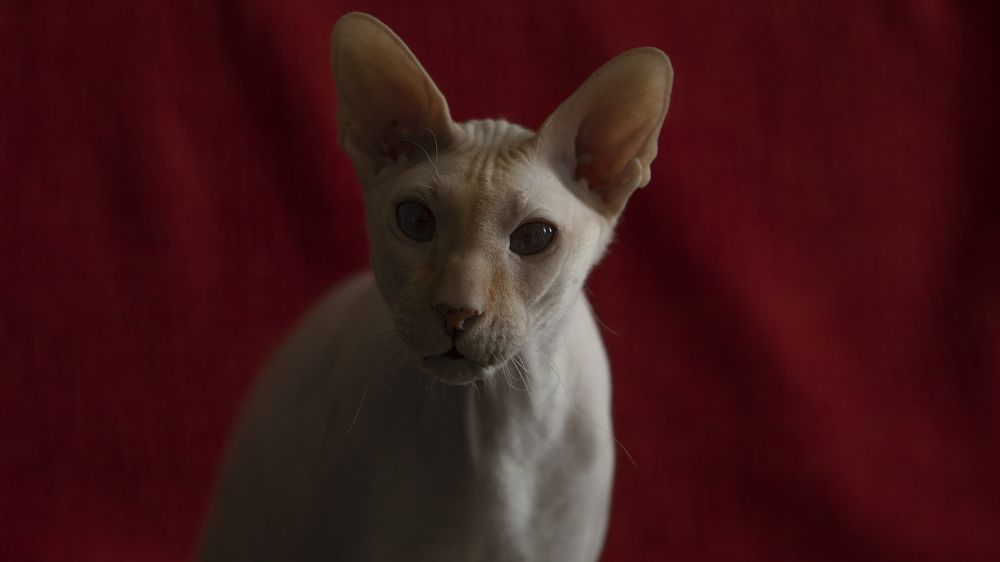 Photograph by Игорь Разенков