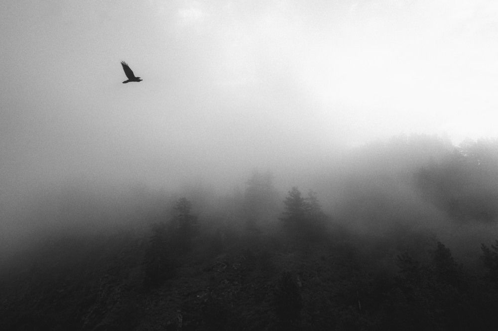 Photograph by Юлия Лушникова