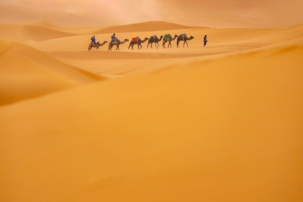 Photograph by Adrian Grigore