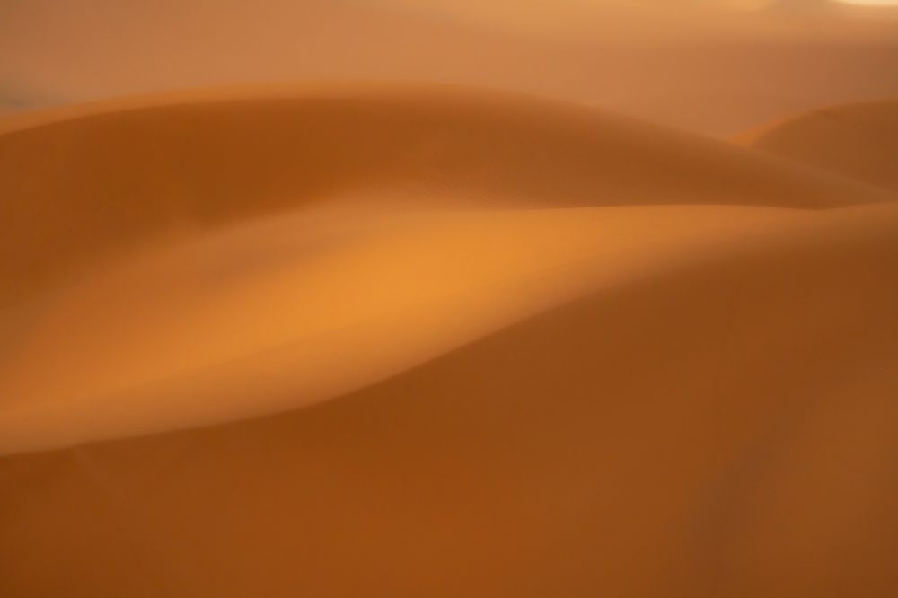 Photograph by Adrian Grigore