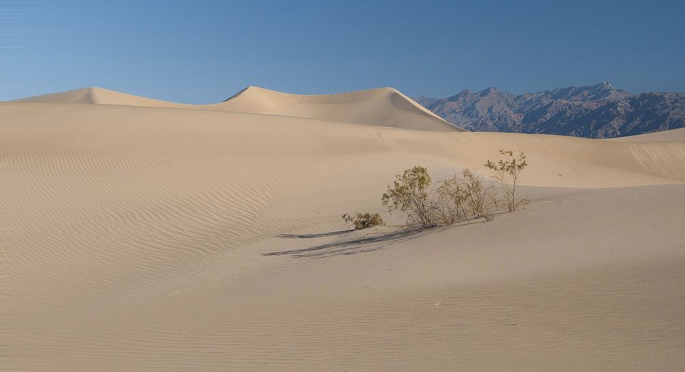 Photograph by Svetlana Rizzo