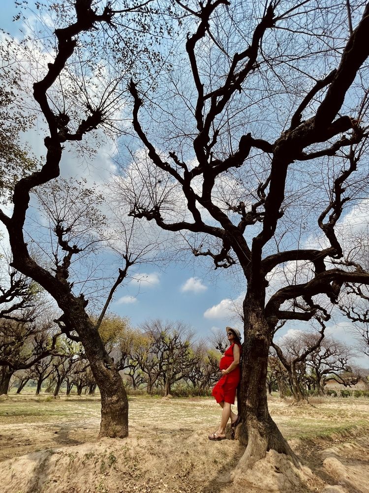 Фотография автора BIPLAB MISRA