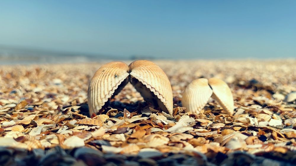 Photograph by Дмитрий Чебанов