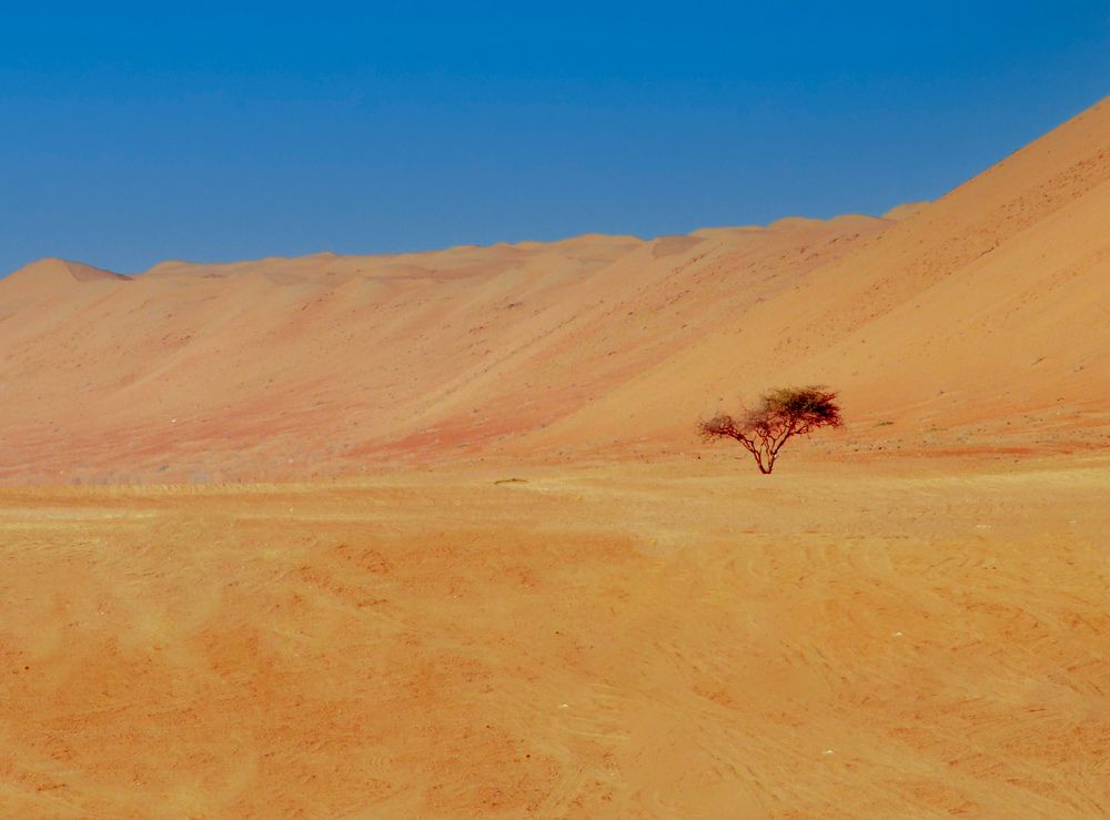 Photograph by Nikolay Isaakov