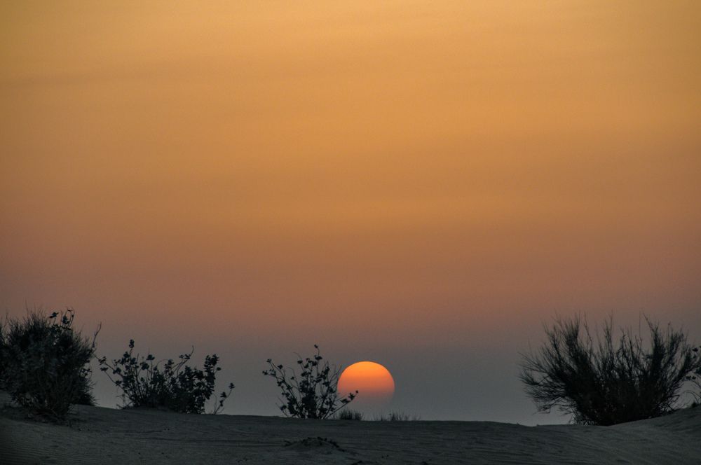 Photograph by Nikolay Isaakov