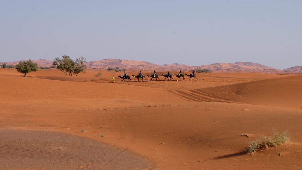 Photograph by Данил Макаренко