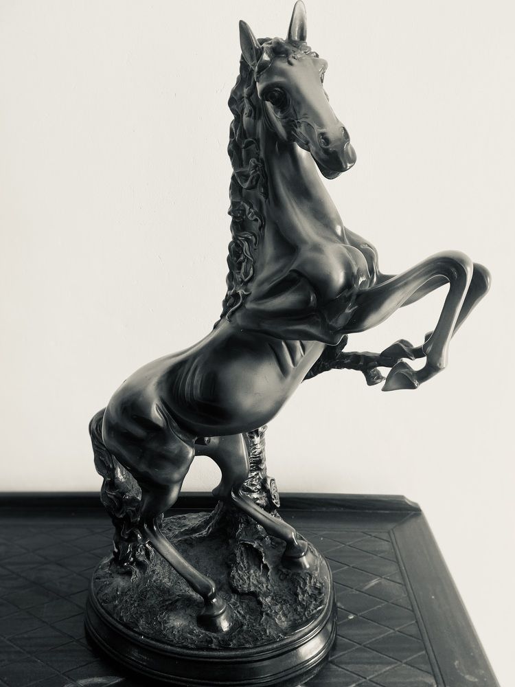 Photograph by Chanaka danapala
