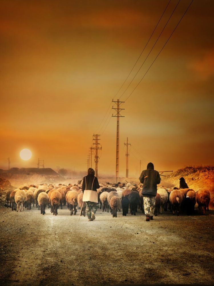 Фотография автора reyhane  khavaninzadeh