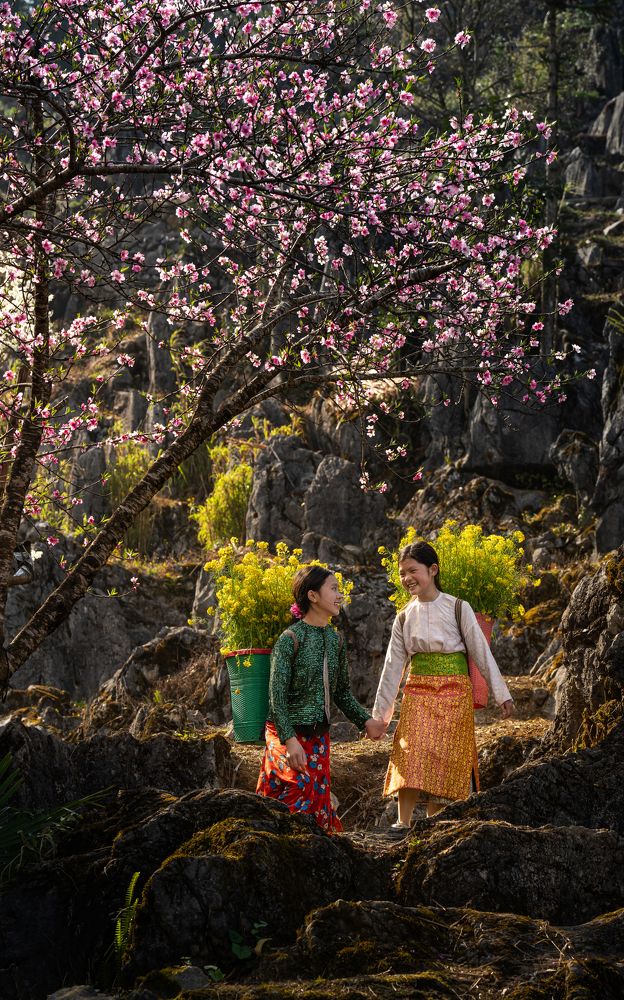 Фотография автора quach nam