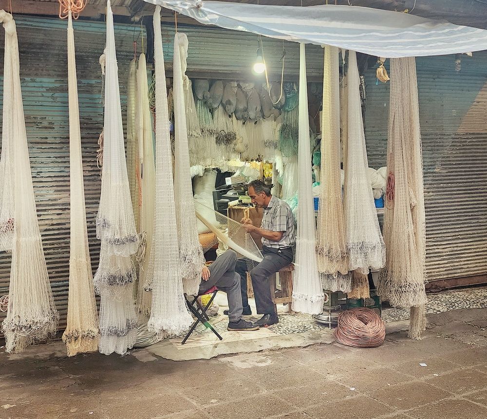 Фотография автора reyhane  khavaninzadeh