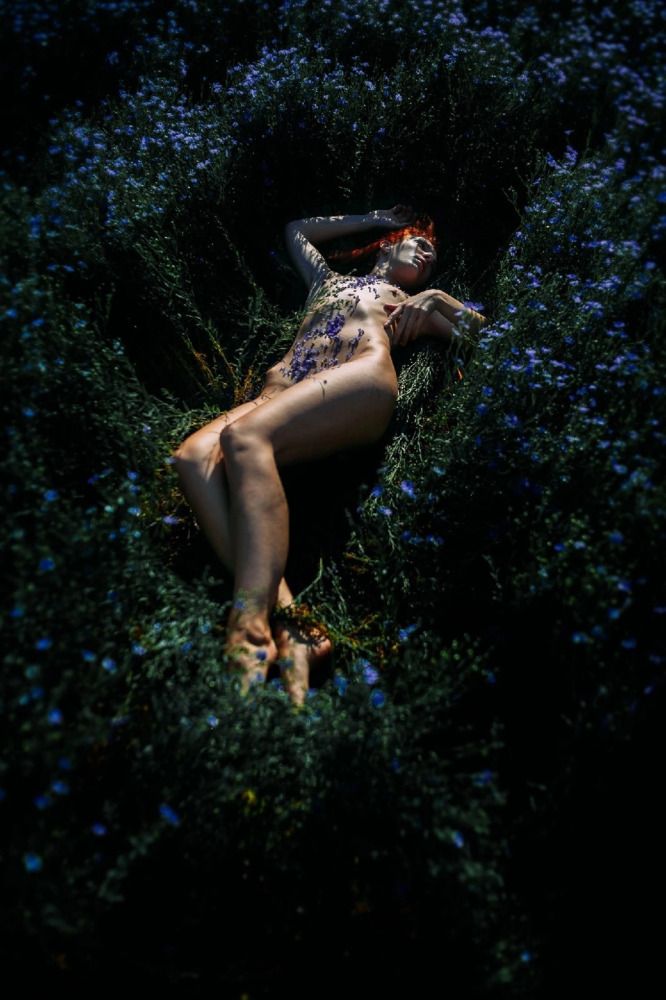 Фотография автора Михаил Назаров