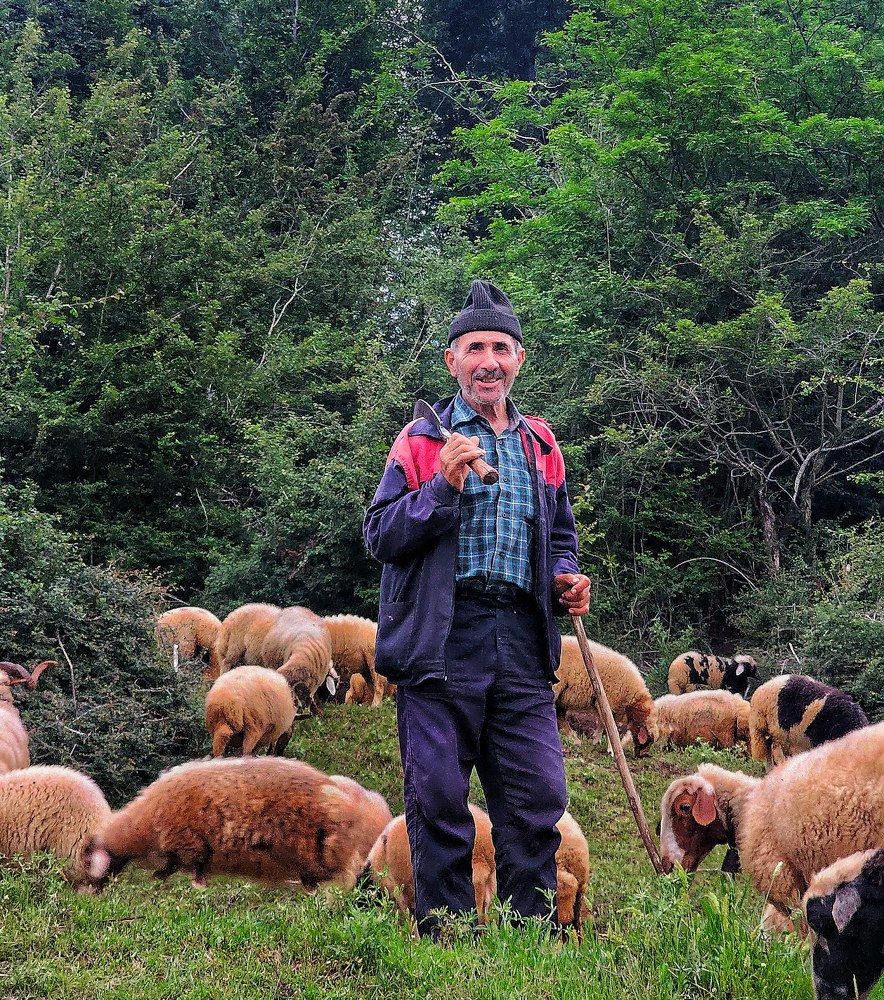 Фотография автора reyhane  khavaninzadeh