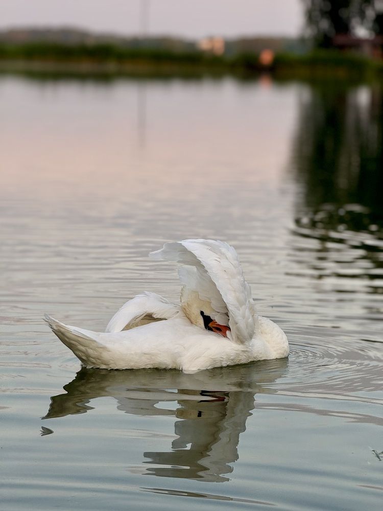 Photograph by Елена Карпухно