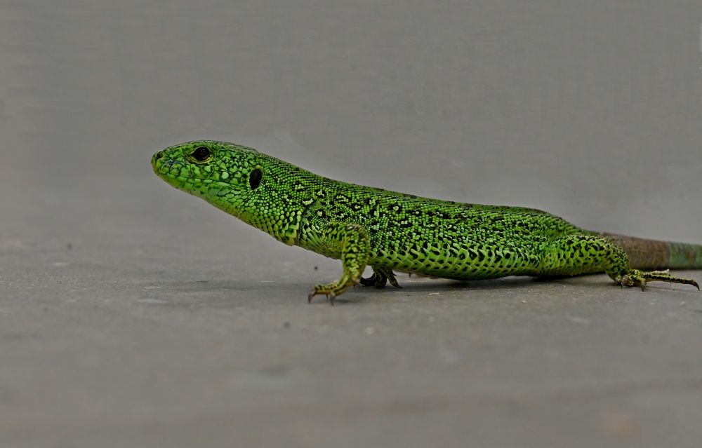 Photograph by Алексей Volg