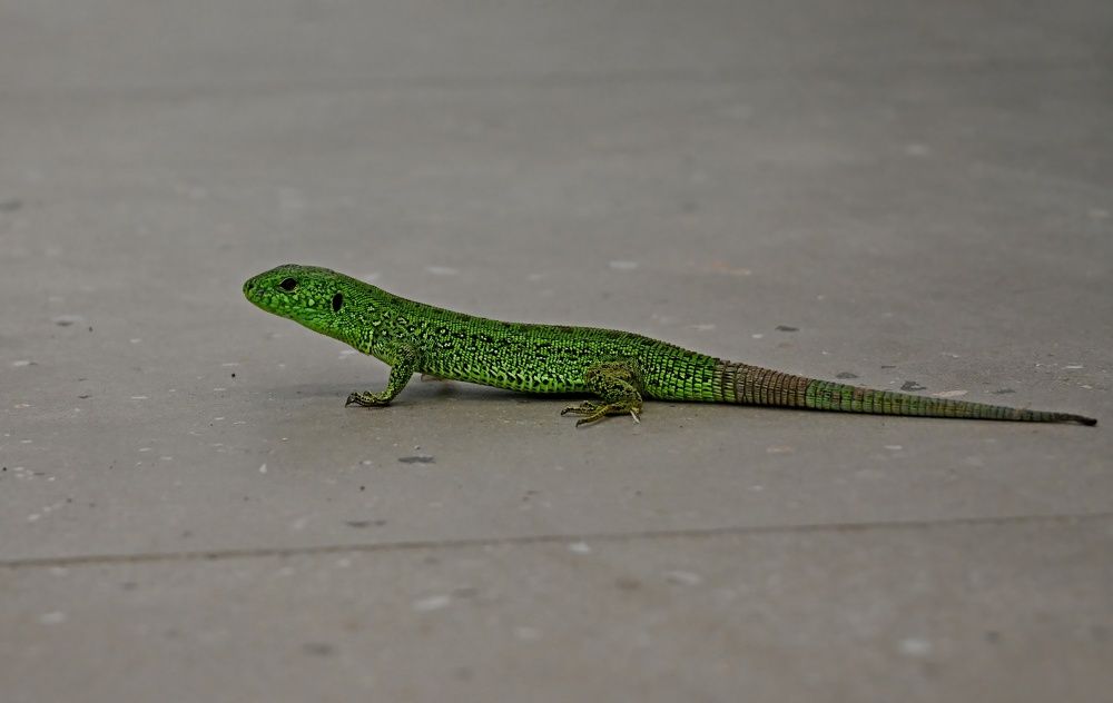 Photograph by Алексей Volg