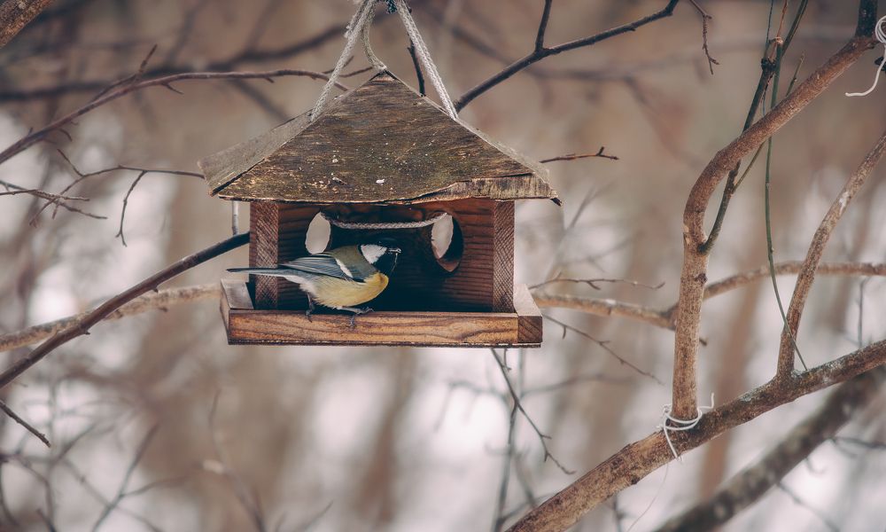 Photograph by Ольга Глущенко