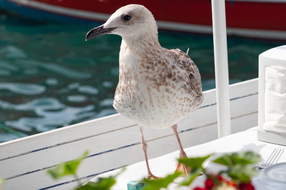 Photograph by Павел Герасимов