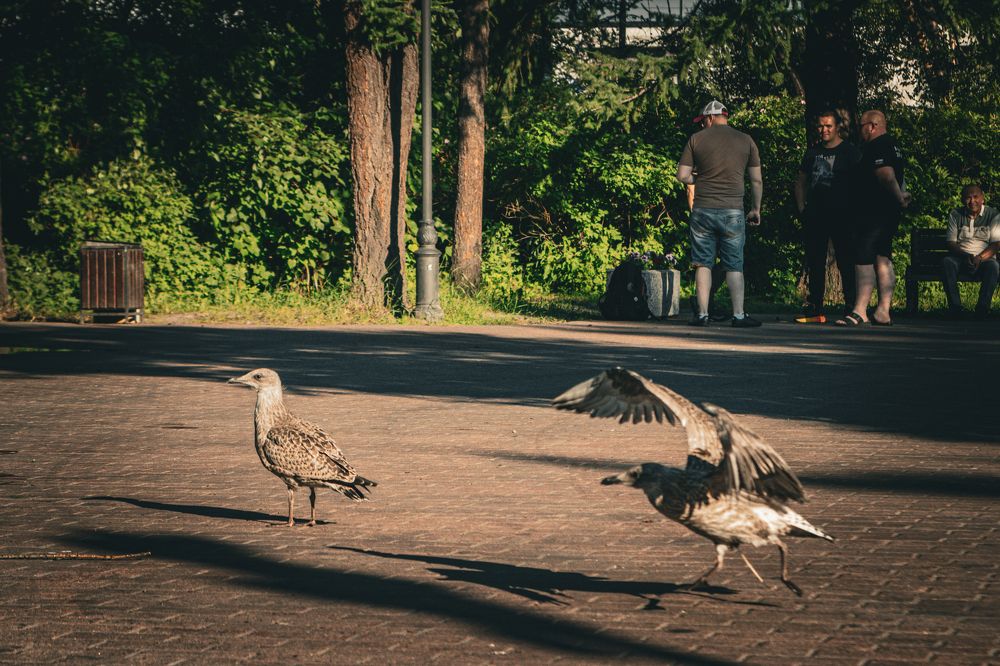 Photograph by Павел Герасимов