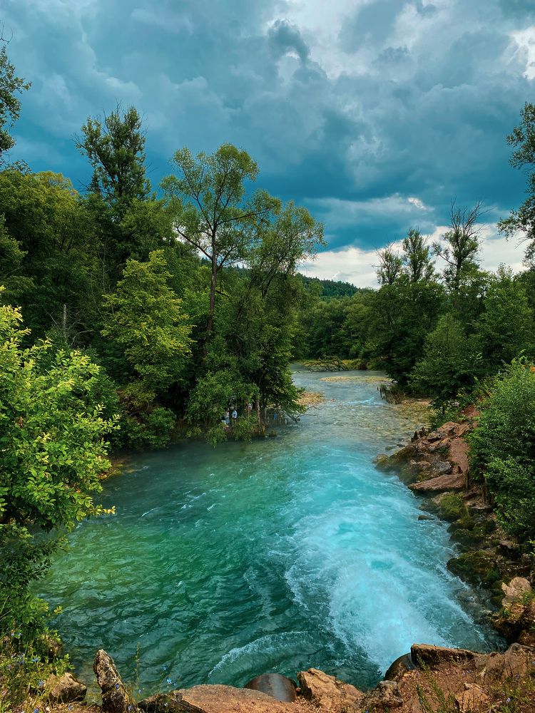 Photograph by Альбина