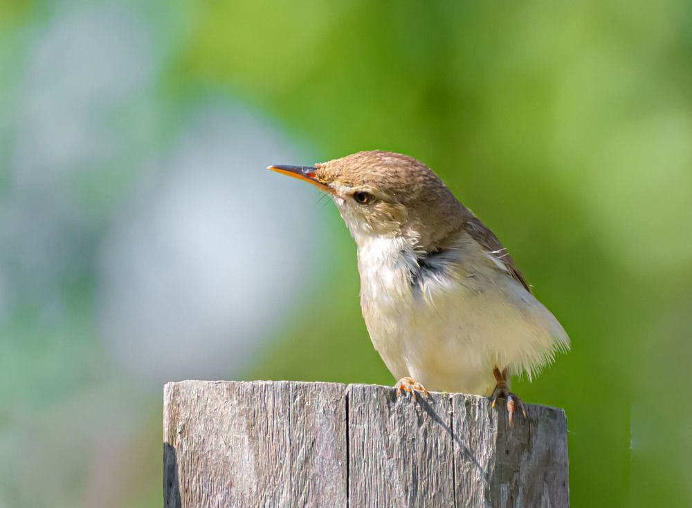 Photograph by Пушкин Сергей