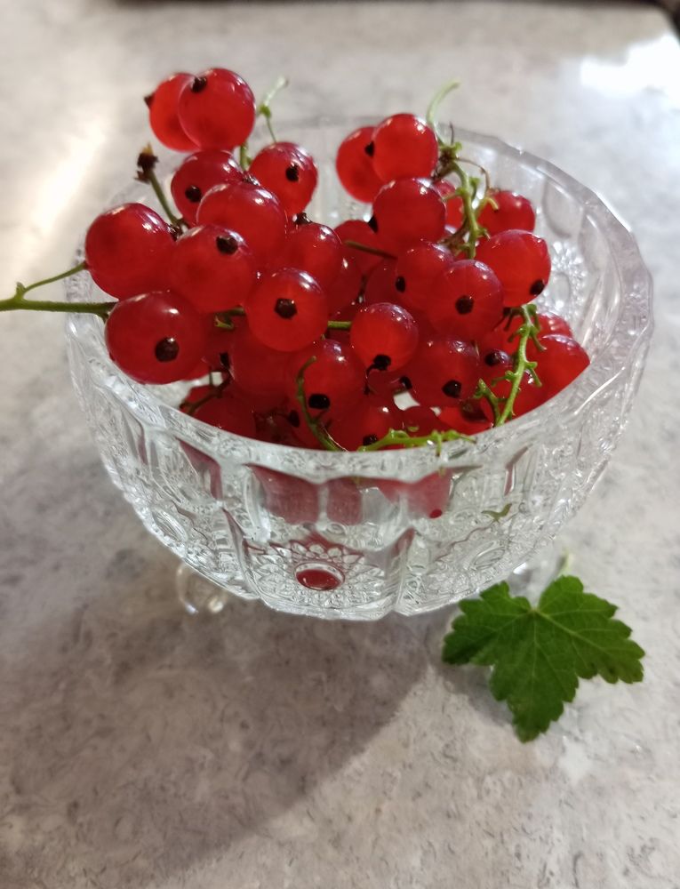 Photograph by Елена Коробченко