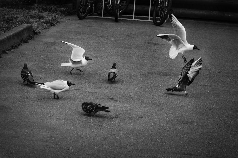 Круговерть