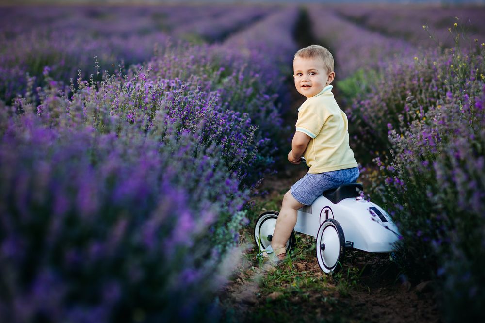 Фотография автора Макс Буковски