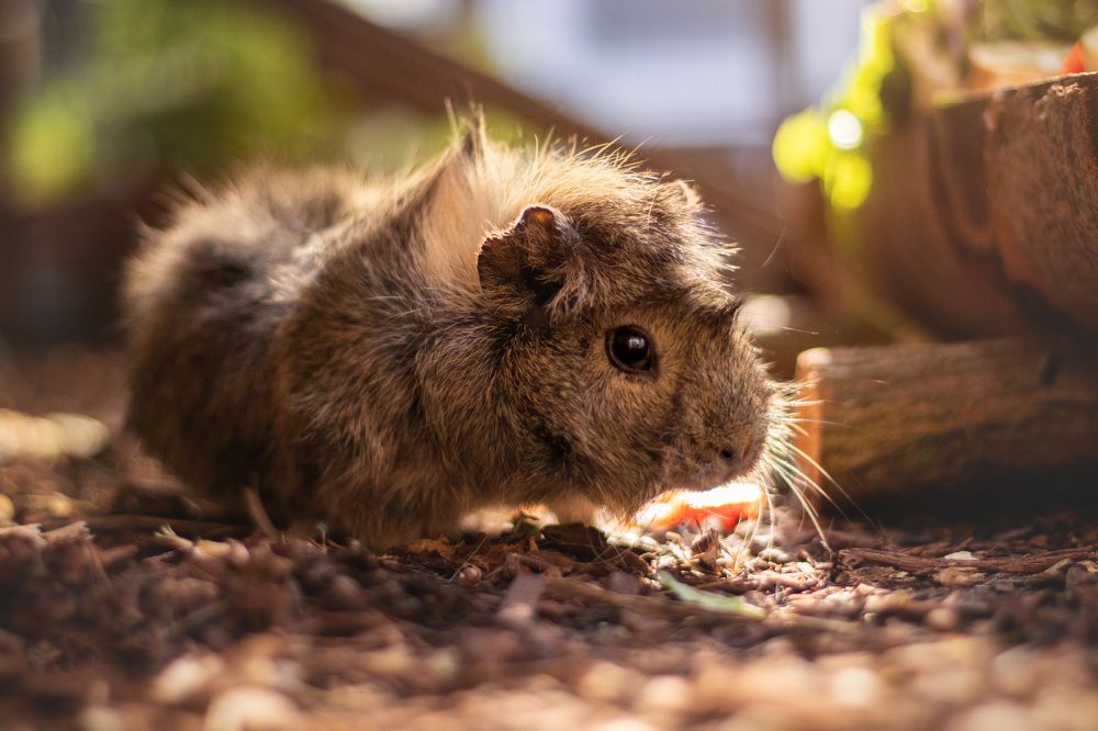 Photograph by Larissa