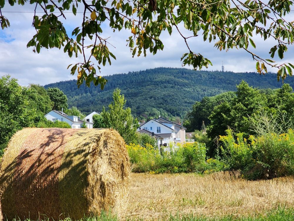 Фотография автора Александр Ахоньков
