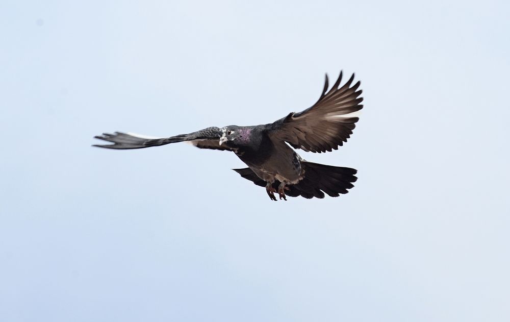 Photograph by Алексей Volg