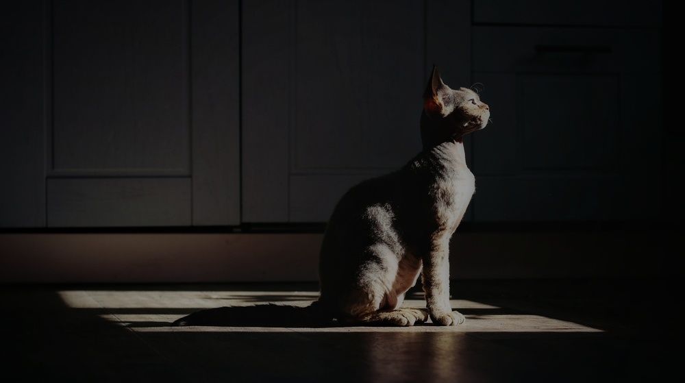 Photograph by Татьяна Федченко