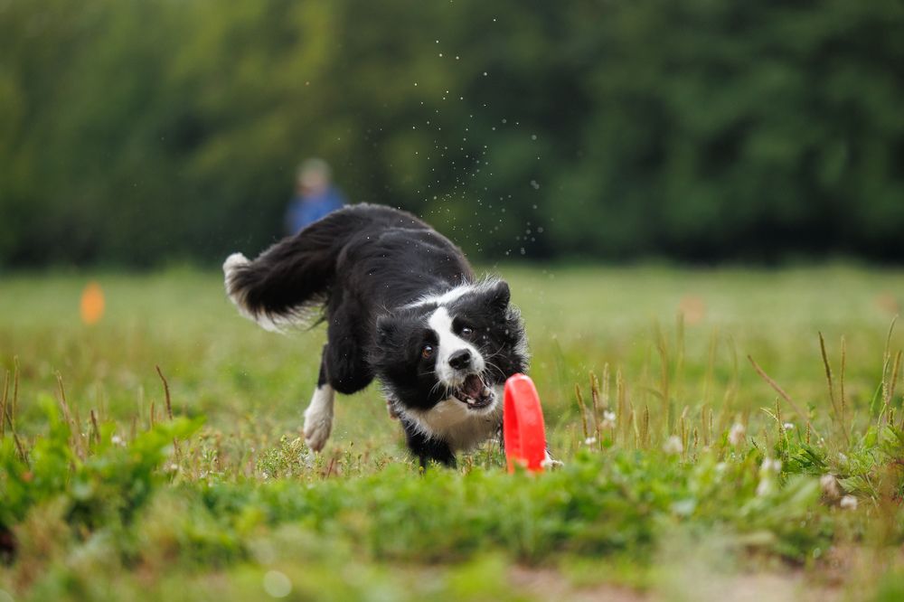 Photograph by Илья Юфа