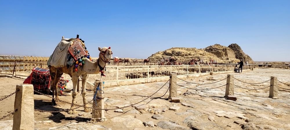 Photograph by Александр Михеев