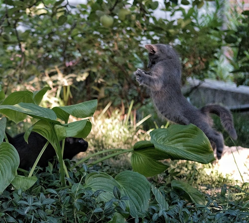 Photograph by Сергей Кошин