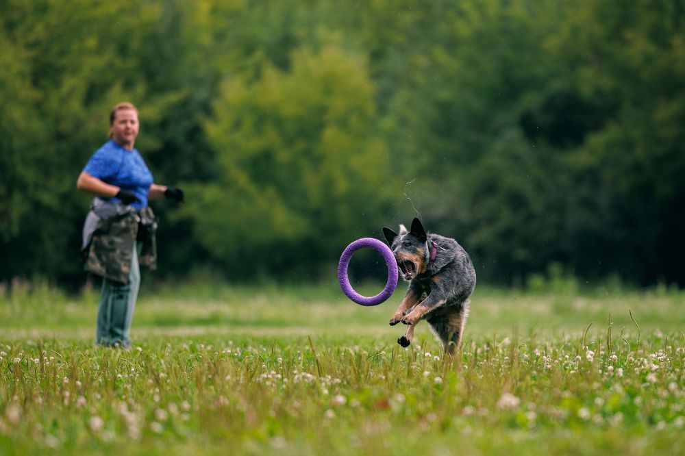 Photograph by Илья Юфа
