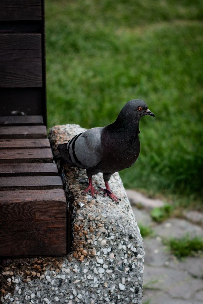 Photograph by Максим Шориков