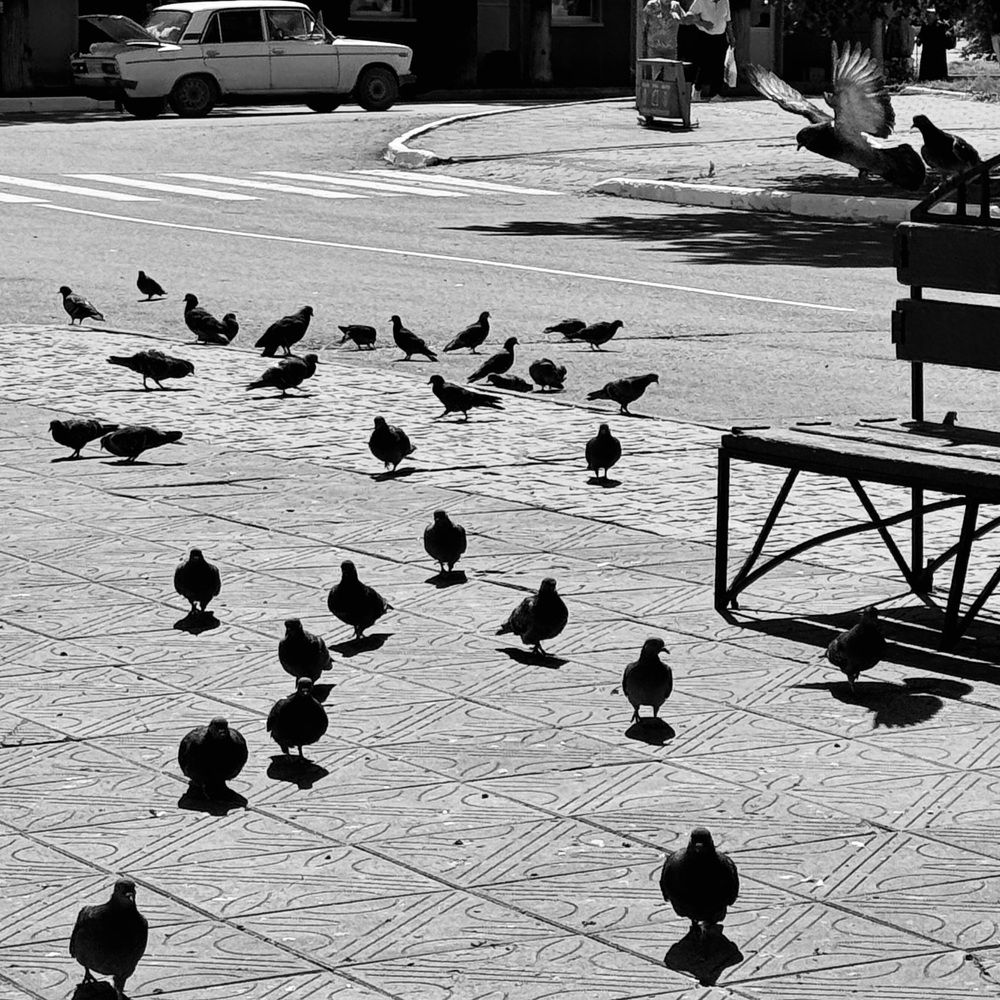 Фотография автора ГУЗАЛИЯ ГАНИЕВА