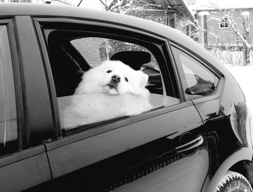 Photograph by Юрий Пучков