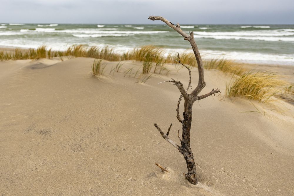 Photograph by Алексей Новиков