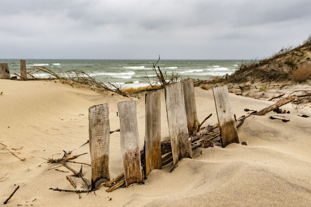 Photograph by Алексей Новиков