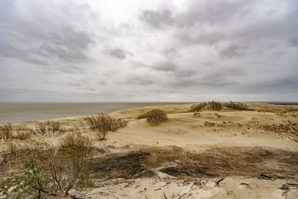 Photograph by Алексей Новиков