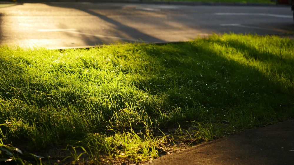 ТЕНЕВОЙ БликЪ