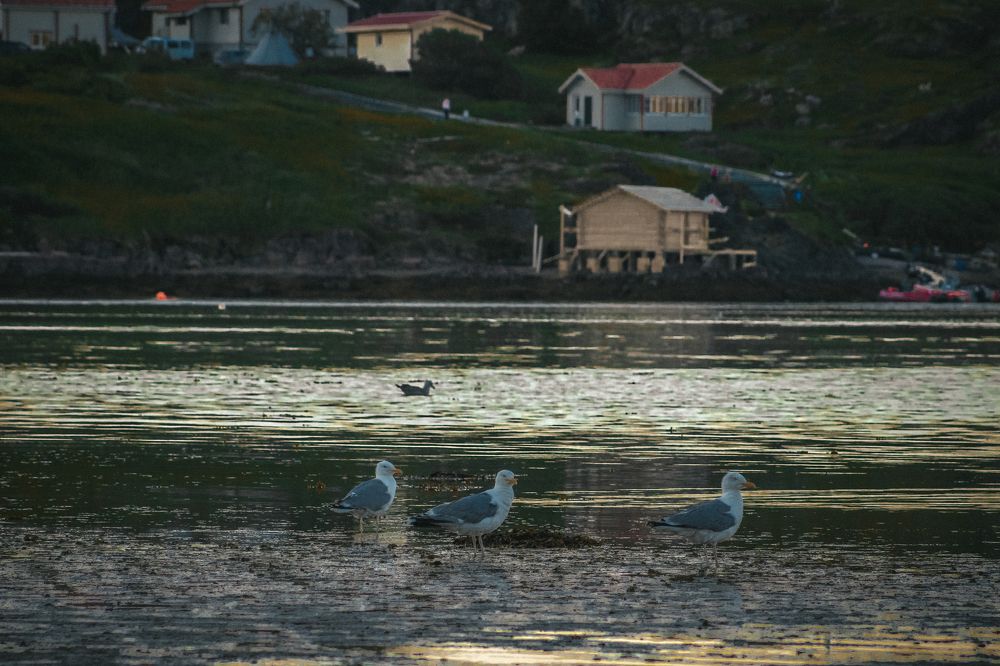 Photograph by Павел Герасимов