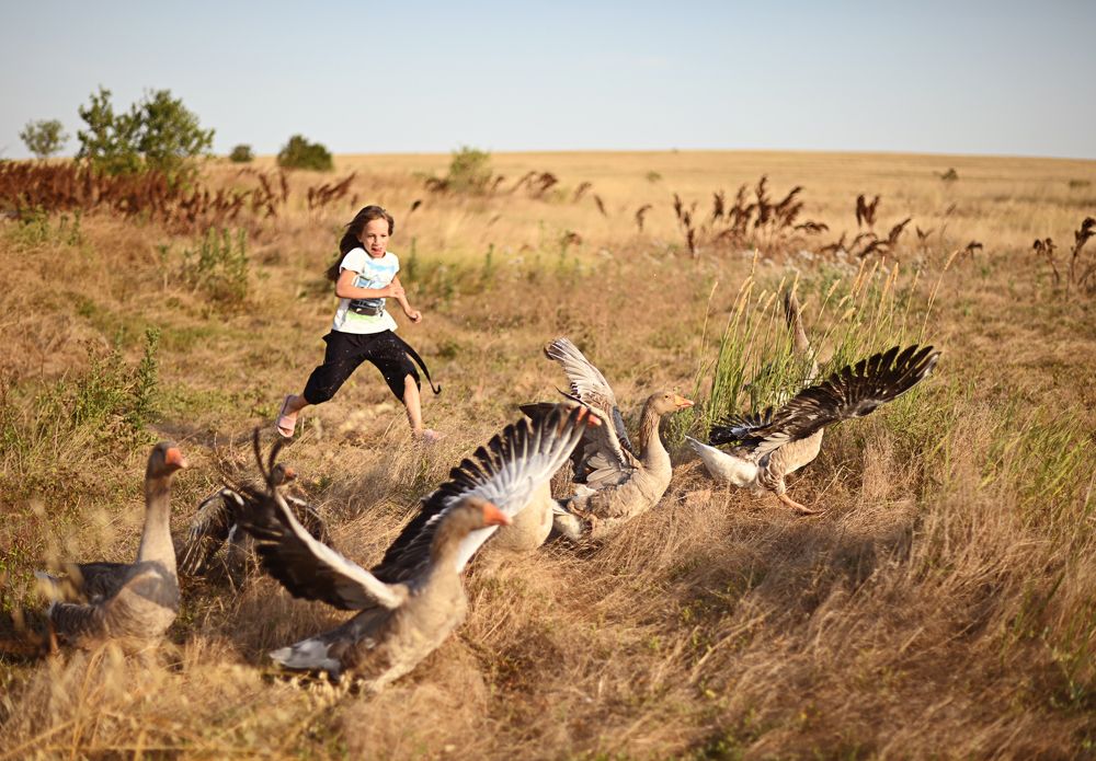 Photograph by Людмила Осипцова
