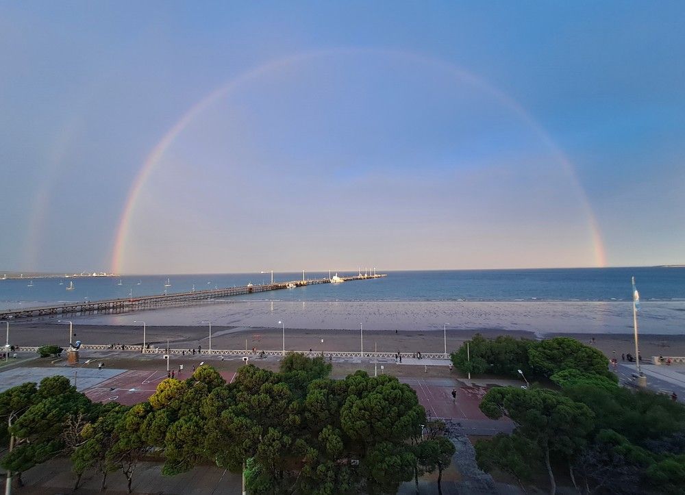 Madryn.