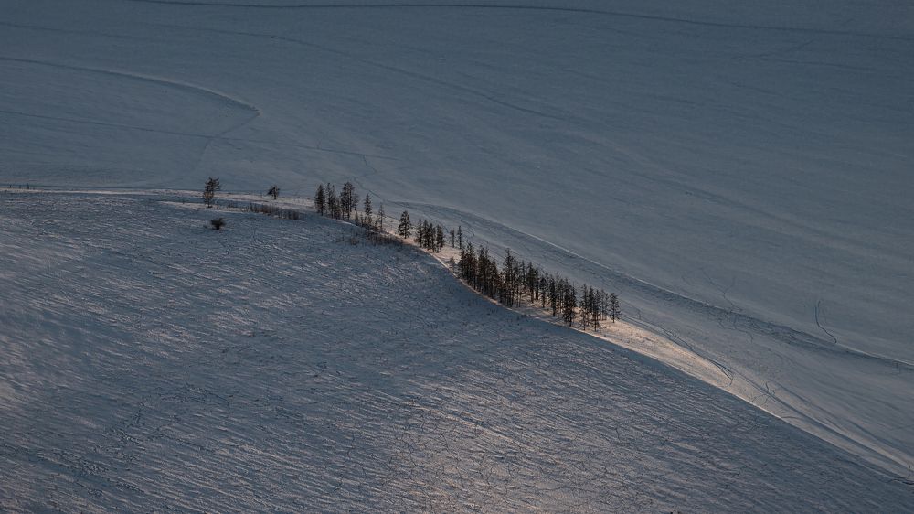 Фотография автора Ляшеев Дмитрий