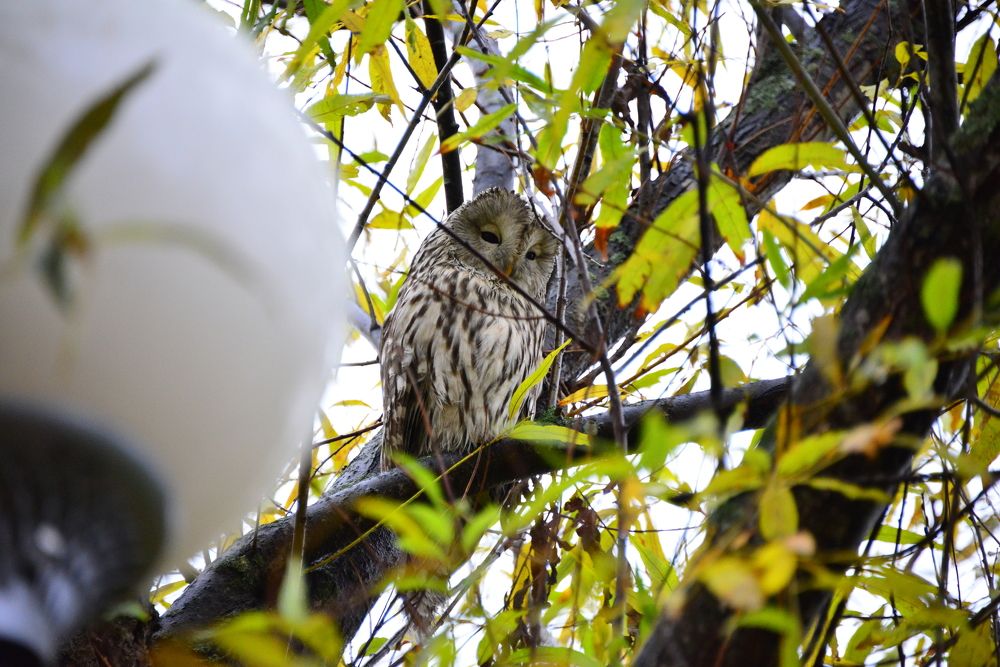 Photograph by Дмитрий Юдин