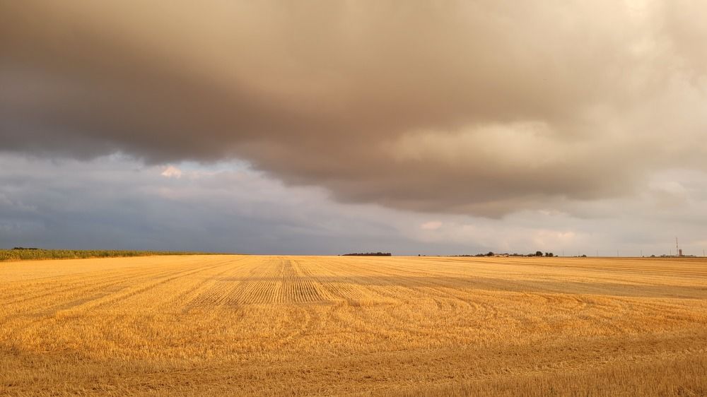 В ожидании дождя