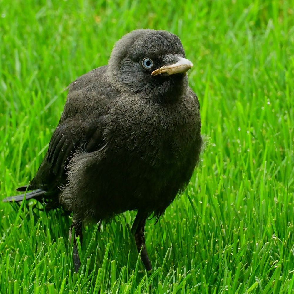 Photograph by Dragos Ivanel