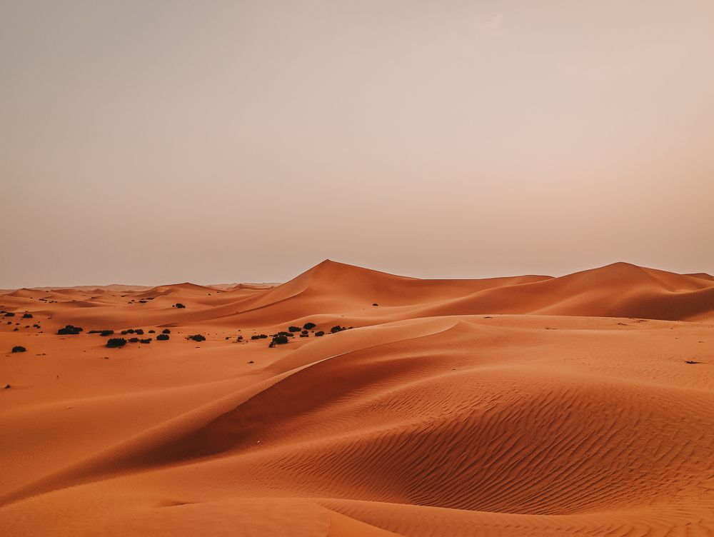 Photograph by Тарас